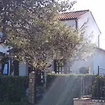 For 2 Appartement Umag